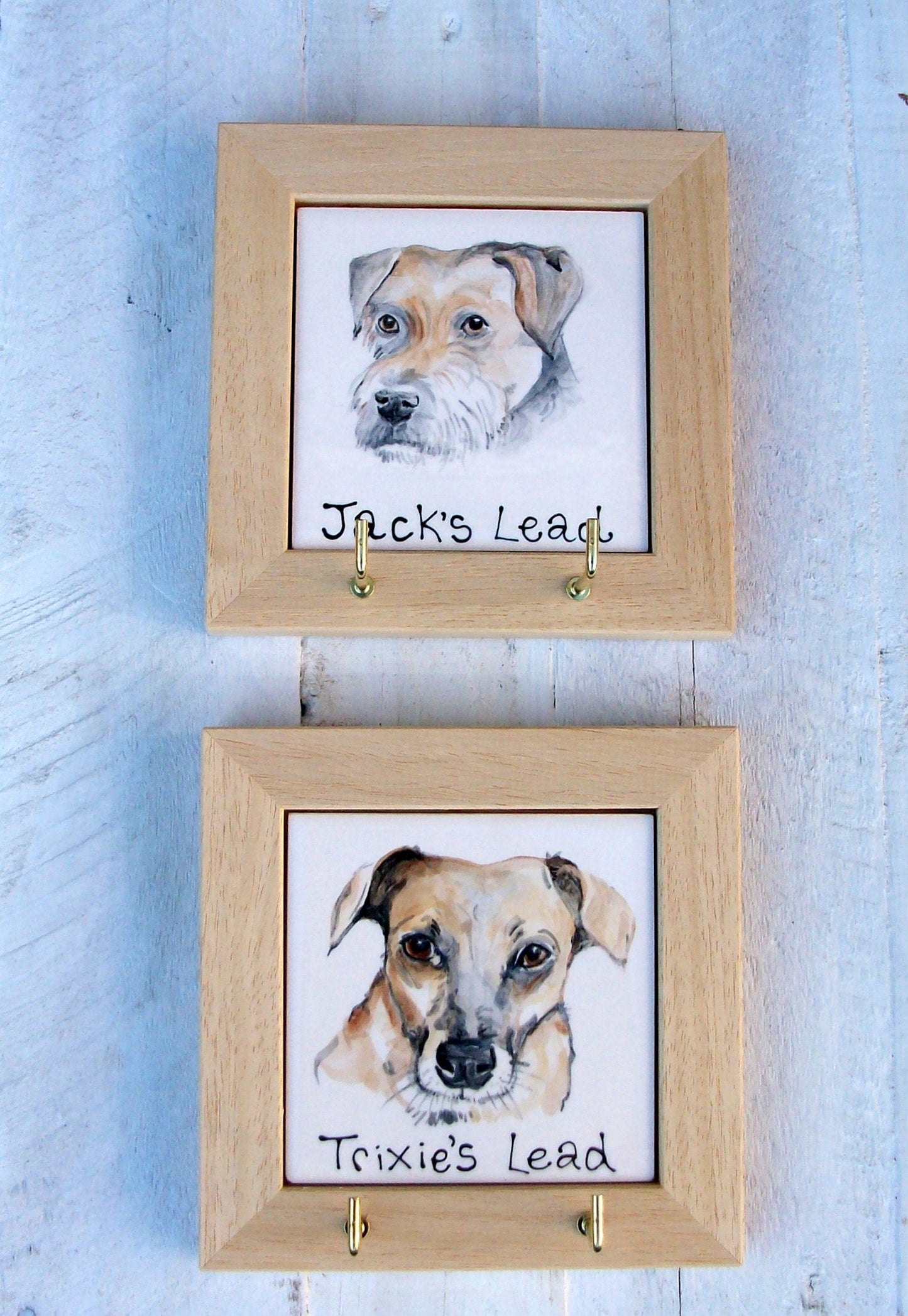 Personalised Dog Leash/ Lead and Collar Hook
