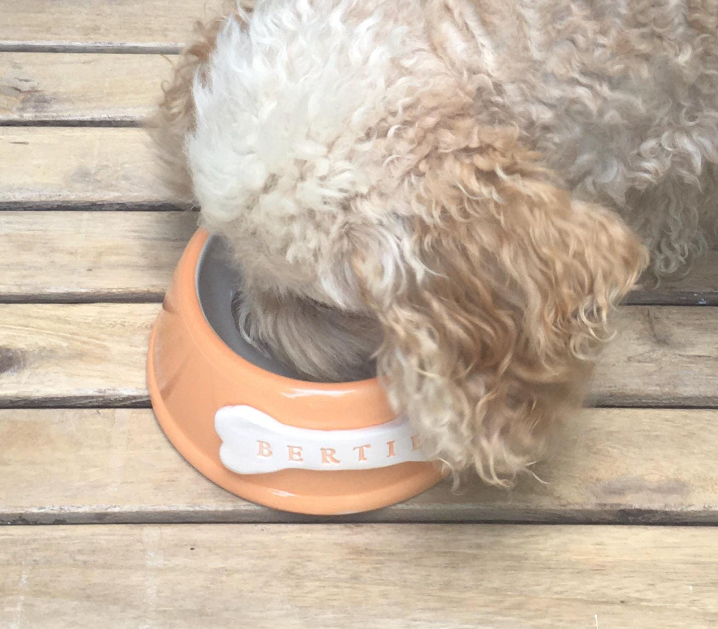 Handmade Personalised Pet Bowls in Sorbet Colours