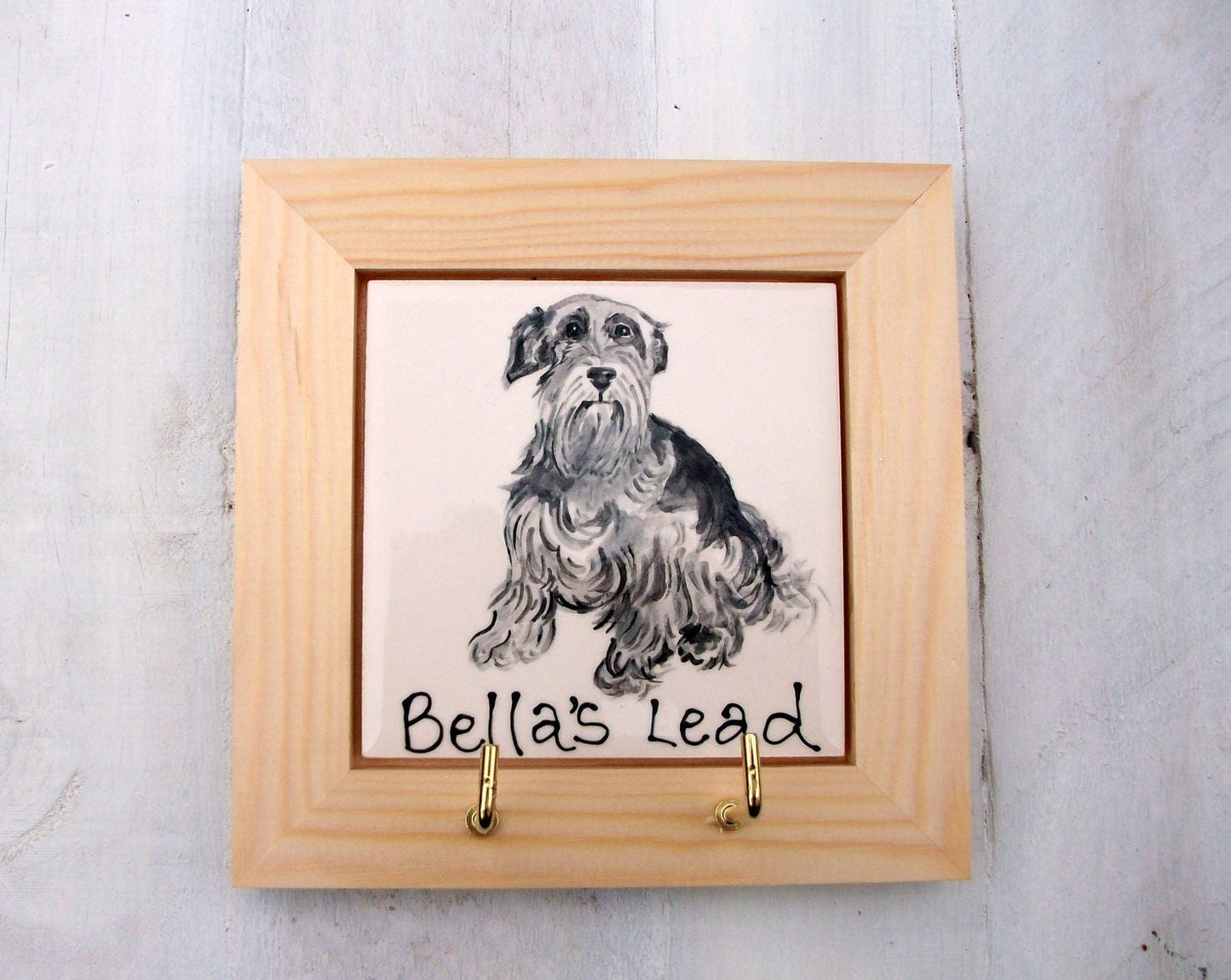 Personalised Dog Leash/ Lead and Collar Hook