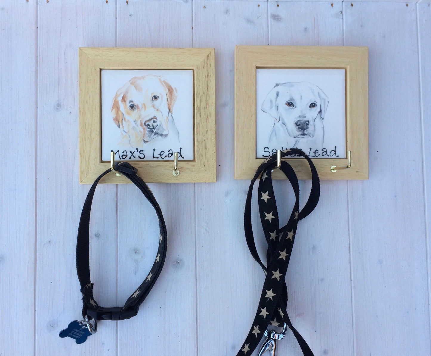 Personalised Dog Leash/ Lead and Collar Hook