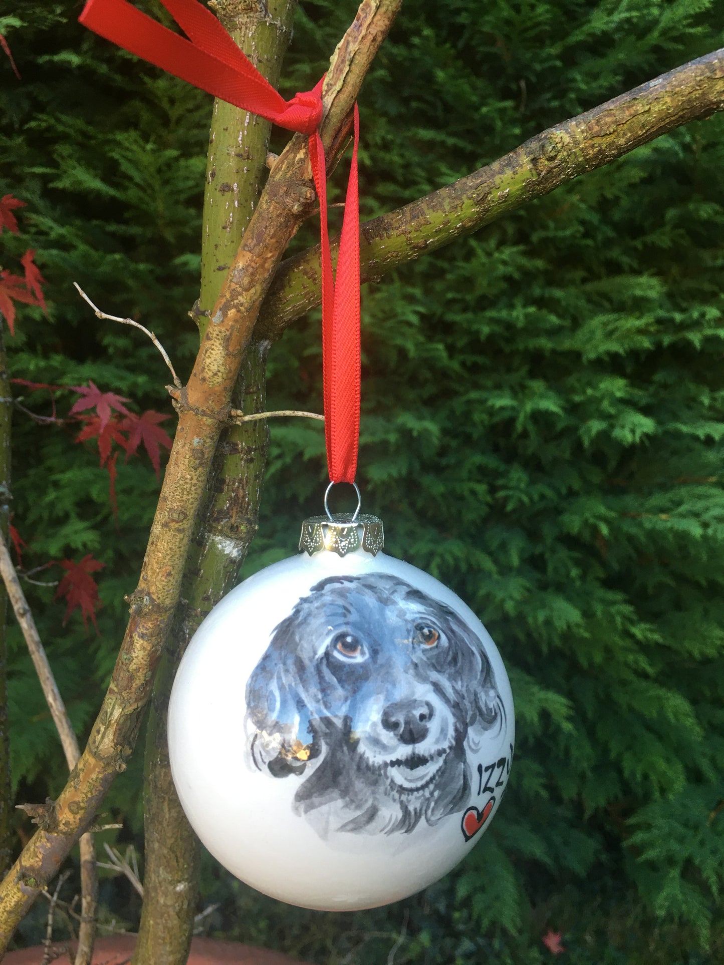 Ceramic Christmas Bauble with Pet Portrait