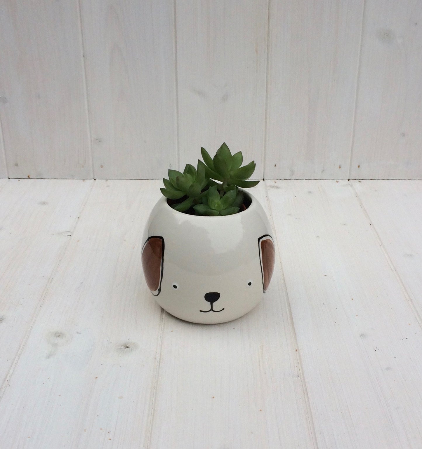Hand Painted Dog Face Ceramic Planter for Succulents