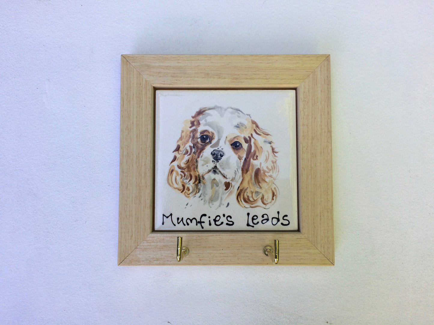 Personalised Dog Leash/ Lead and Collar Hook